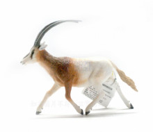 PROCON動物模型-彎角劍羚