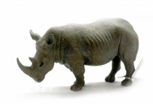 PROCON動物模型-大犀牛R88031