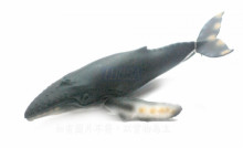 PROCON動物模型-座頭鯨R88347