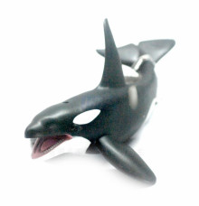 PROCON動物模型-虎鯨R88043
