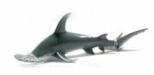 PROCON動物模型-鎚頭鯊88045
