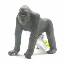 PROCON動物模型-大猩猩88033