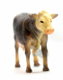 PROCON動物模型-母牛88126