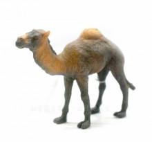 PROCON動物模型-駱駝88208