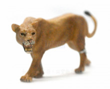 PROCON動物模型-母獅子88415