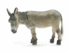 PROCON動物模型-驢子88115