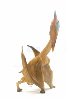 PROCON動物模型-哈特茲哥翼龍88441