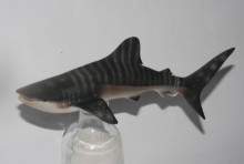 PROCON動物模型-鯨鯊R88453