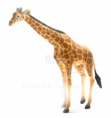 PROCON動物模型-大長頸鹿R88534