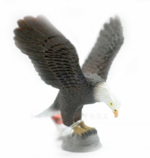 PROCON動物模型-白頭海鵰(禿鷹)R88383