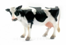 PROCON動物模型-母乳牛R88481