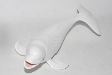 PROCON動物模型-白鯨R88568