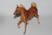 PROCON動物模型-阿拉伯母馬R88475