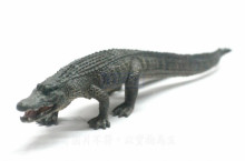 PROCON動物模型-美國短吻鱷88609