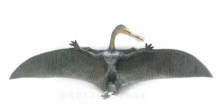 PROCON動物模型-鳥掌翼龍88511
