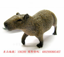 PROCON動物模型-水豚R88540