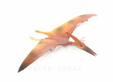 PROCON動物模型-翼龍R88039
