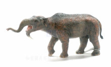 PROCON動物模型-恐象88594