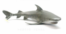 PROCON動物模型-老虎鯊88661