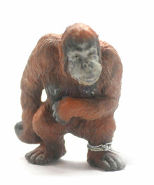 PROCON動物模型-紅毛猩猩88210