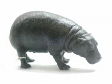 PROCON動物模型-侏儒河馬R88686
