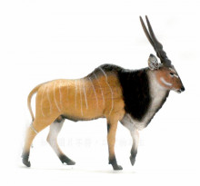 PROCON動物模型-大伊蘭羚羊88563