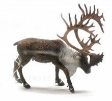 PROCON動物模型-北美馴鹿88709
