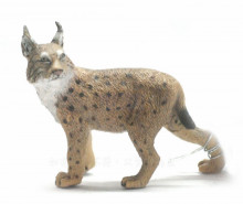 PROCON動物模型-山貓88565