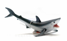 PROCON動物模型-尖吻鯖鯊88679