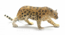 PROCON動物模型-遠東豹88708