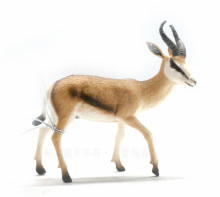 PROCON動物模型跳羚R88684