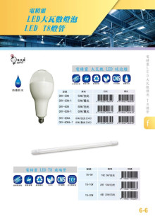 電精靈LED 球泡燈 65W/白光 E27