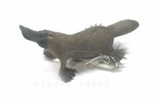 鴨嘴獸R88795 PROCON動物模型