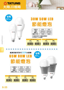 大同LED 球泡燈 30W/白光