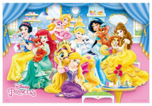 Disney Princess公主(5)拼圖300片
