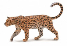非洲豹-PROCON動物模型 R88866