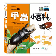 甲蟲小百科