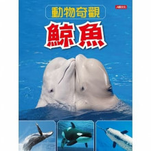 動物奇觀：鯨魚