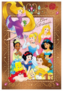 Disney Princess公主(6)拼圖300片