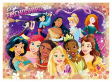 Disney Princess公主(5)拼圖520片