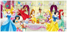 Disney Princess公主(1)拼圖510片