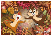 Chip an'' Dale【花卉系列】奇奇蒂蒂拼圖300片