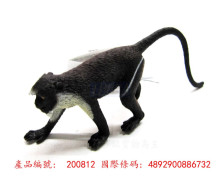 黛安娜長尾猴 CA-150	PROCON動物模型
