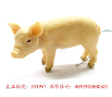 PROCON動物模型-小豬(站)