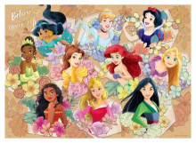 Disney Princess公主(10)拼圖520片