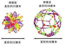 大花球(魔術球)120P 22-38CM