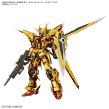 RG #41 1/144 機動戰士鋼彈SEED DESTINY 曉鋼彈(大鷲裝備)