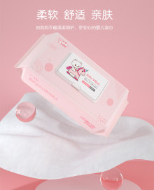 80抽加蓋便攜濕紙巾24P