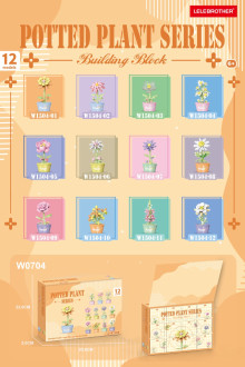 洞洞樂鮮花盆栽